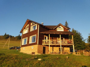 Hotels in Kryvopillya